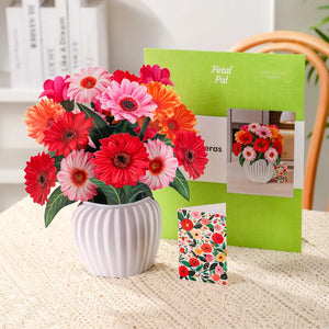 Cheerful-Gerberas-PetalPal