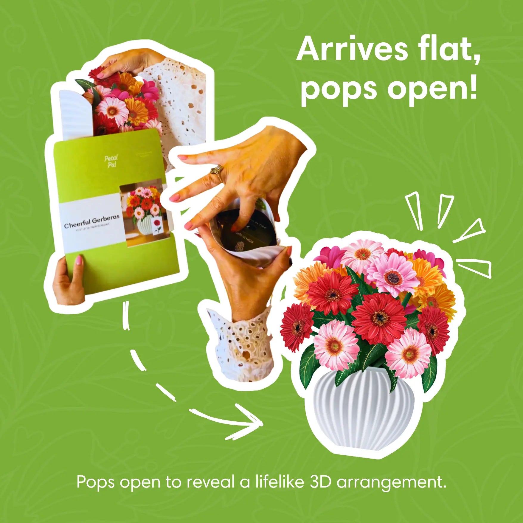 Cheerful-Gerberas-PetalPal