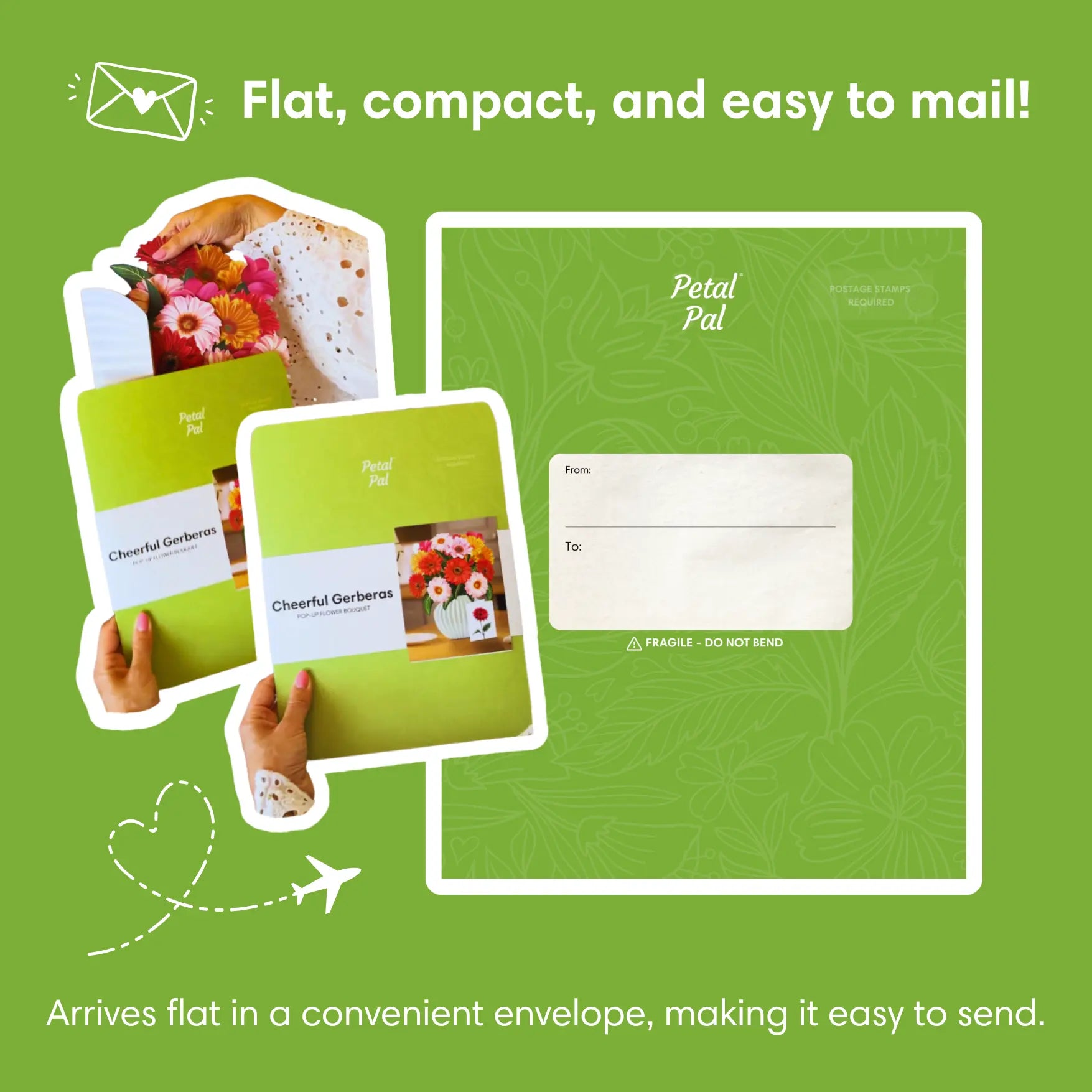 Cheerful-Gerberas-PetalPal