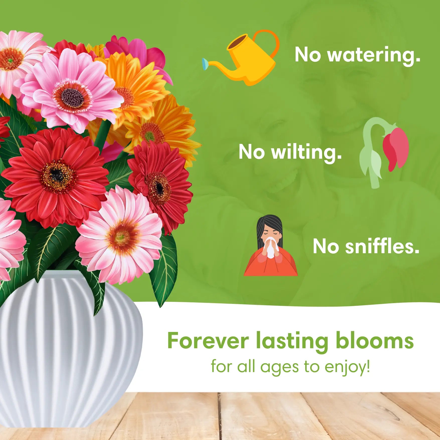 Cheerful-Gerberas-PetalPal