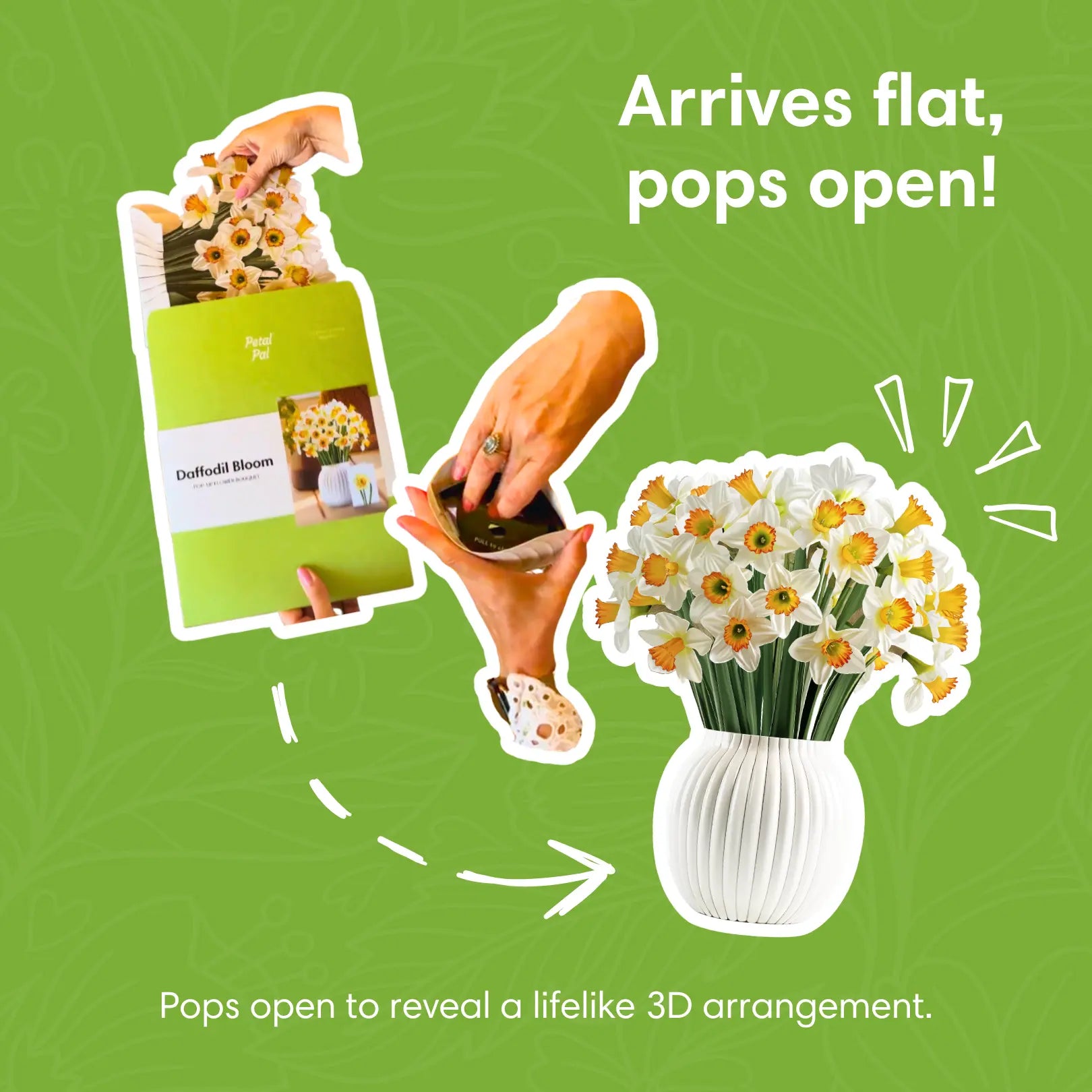 Daffodil-Bloom-PetalPal