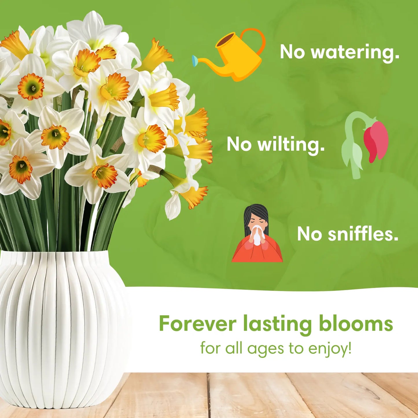 Daffodil Bloom PetalPal