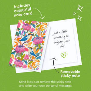 Illawarra-Essence-PetalPal