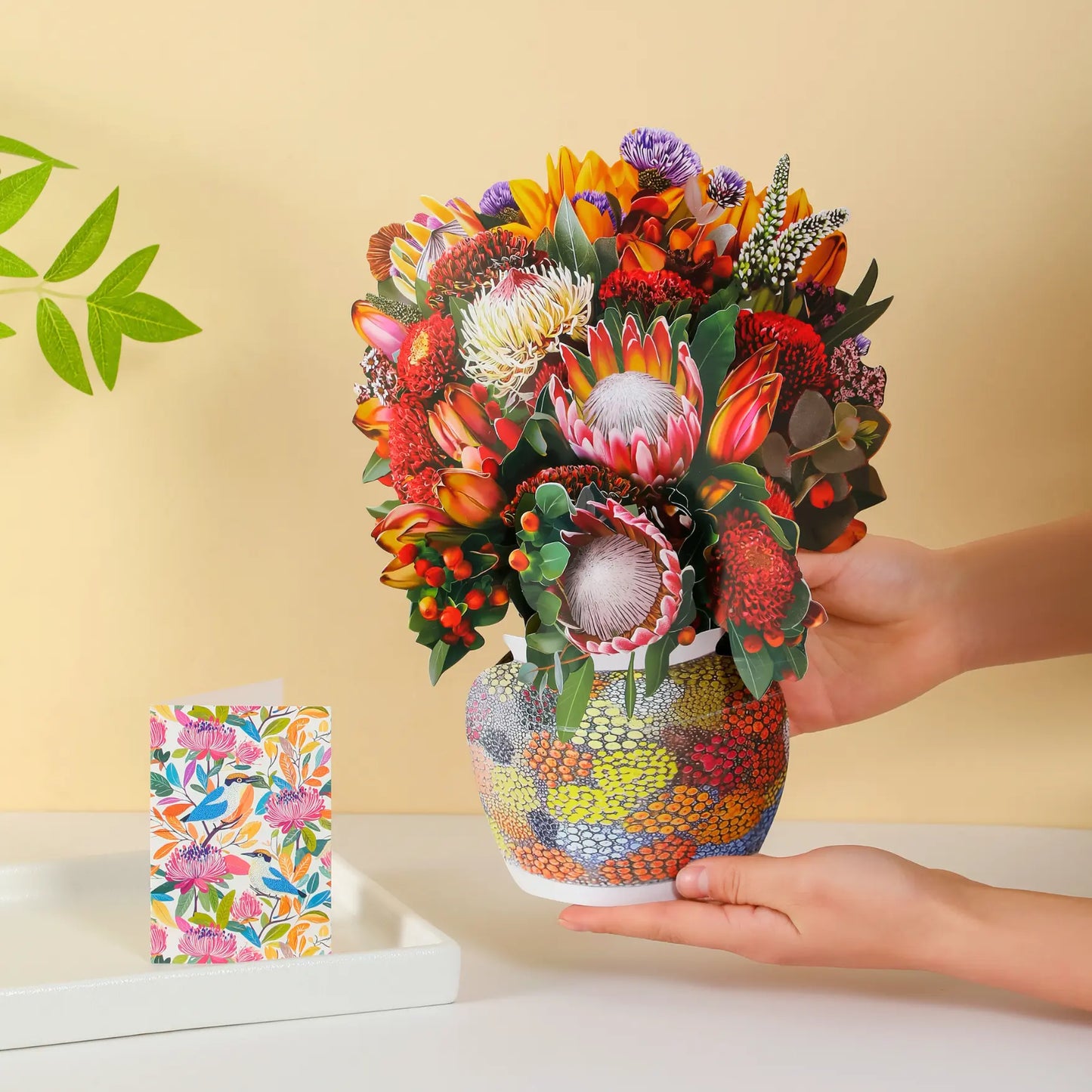 Illawarra Essence PetalPal