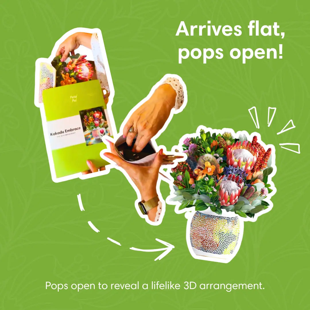 Kakadu-Embrace-PetalPal