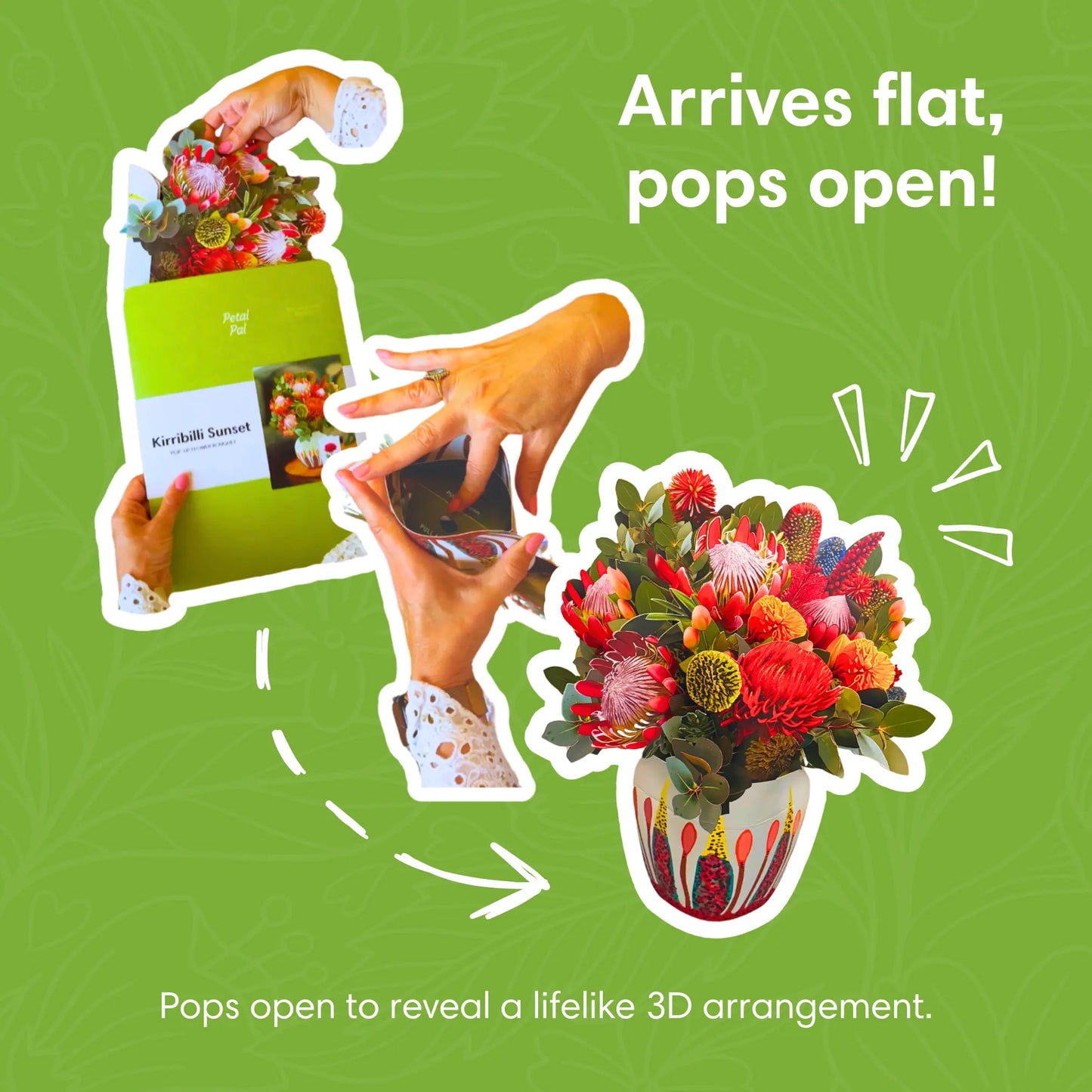 Kirribilli Sunset PetalPal