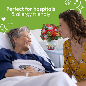 Kirribilli-Sunset-PetalPal