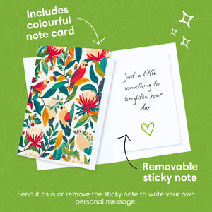 Kirribilli-Sunset-PetalPal