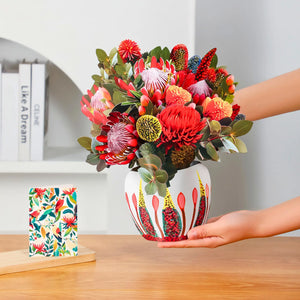 Kirribilli-Sunset-PetalPal