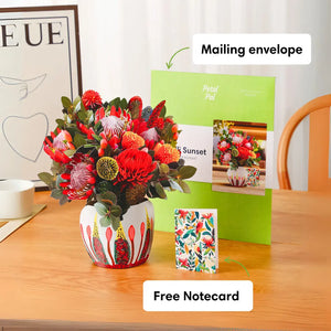 Kirribilli-Sunset-PetalPal