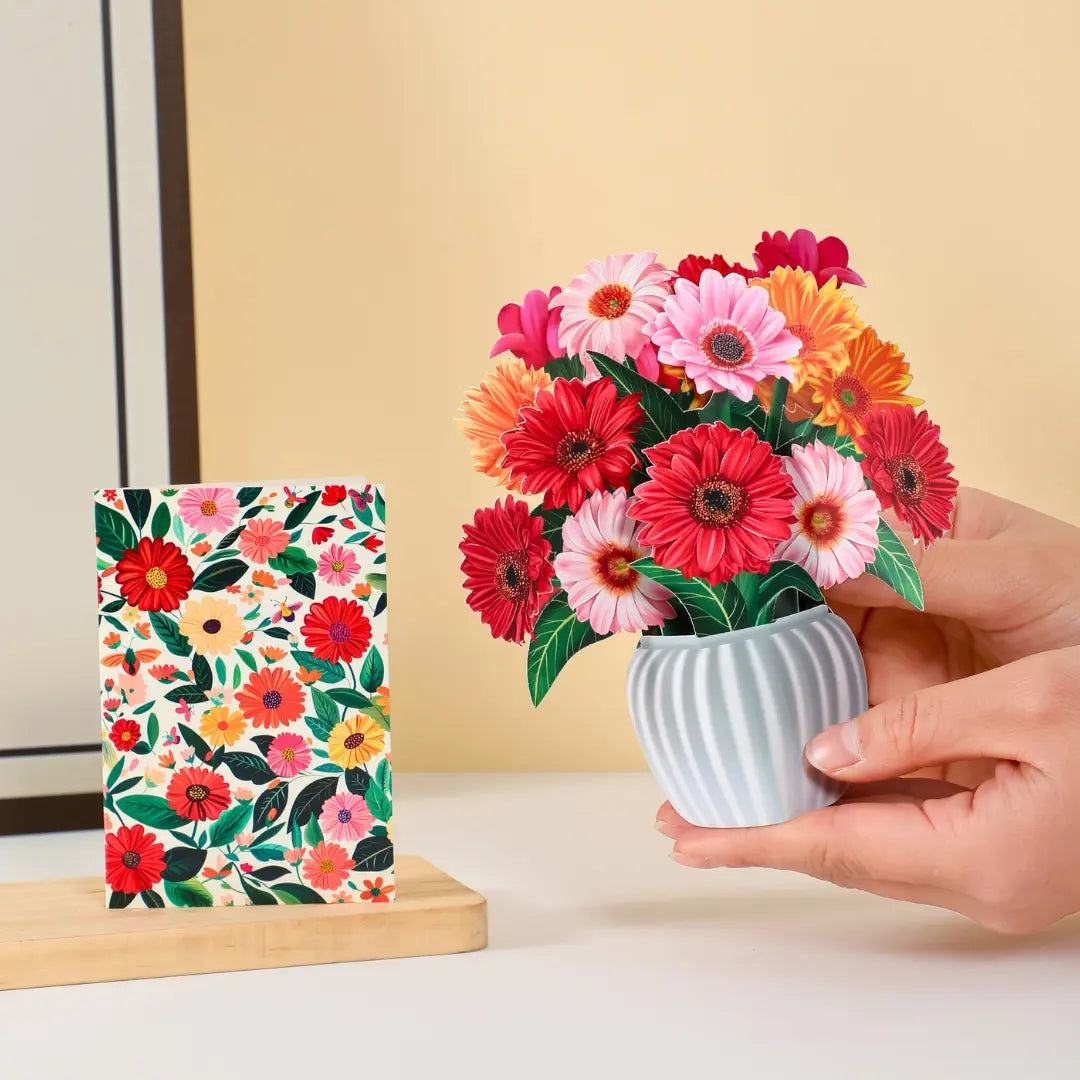 Mini Cheerful Gerberas PetalPal