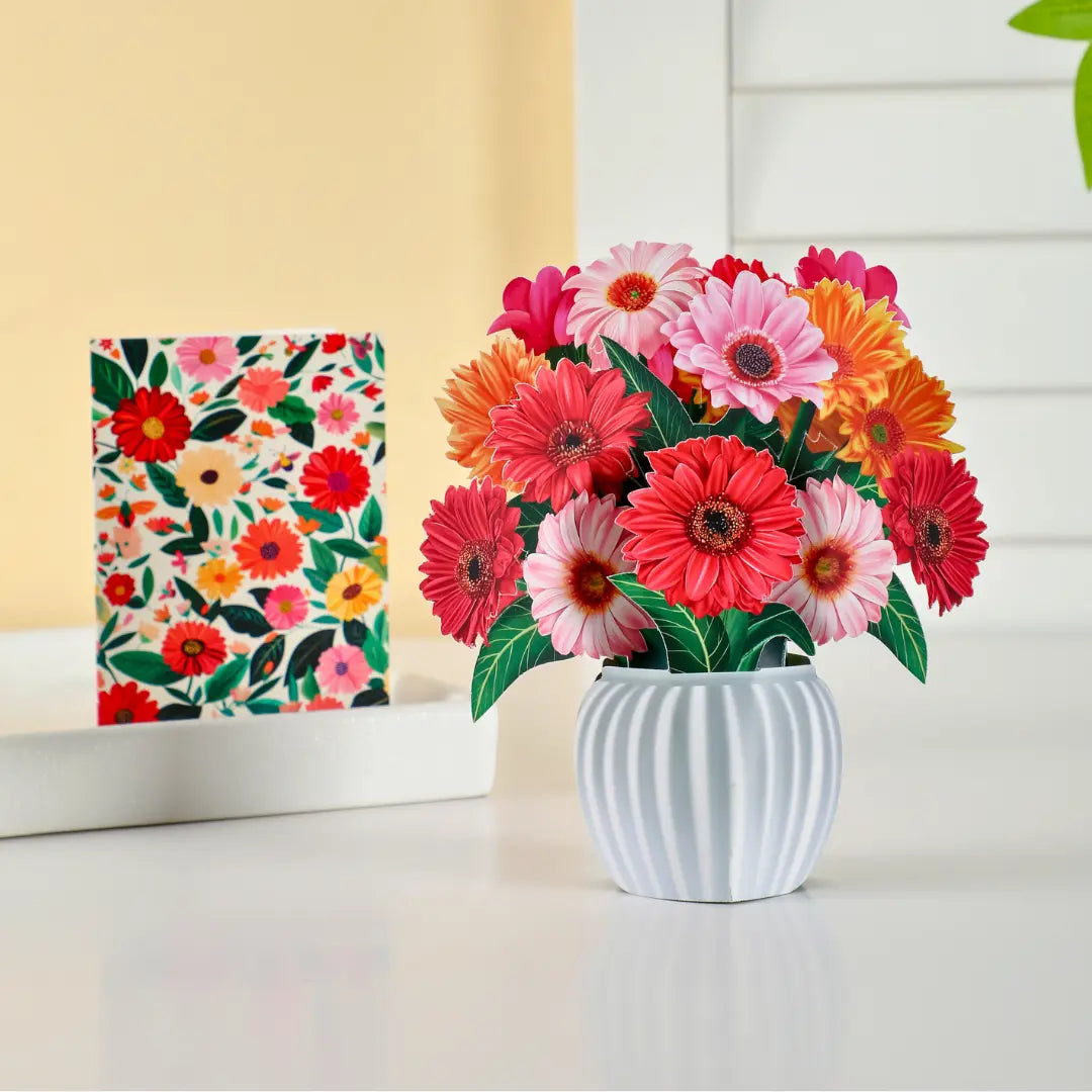 Mini Cheerful Gerberas PetalPal