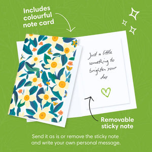 Sunflower-Smiles-PetalPal