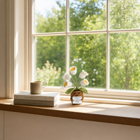 Living-on-a-windowsill-[pl:0861ead1487b]