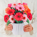 Cheerful Gerberas Pop-Up Bouquet