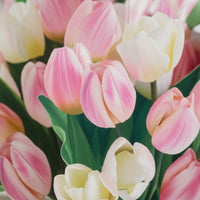 Mini Tulp Küsse Pop-up-Blumenstrauß